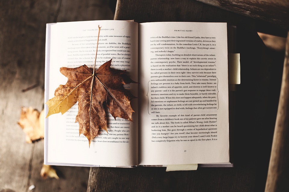 Los libros que desembarcan con el otoño